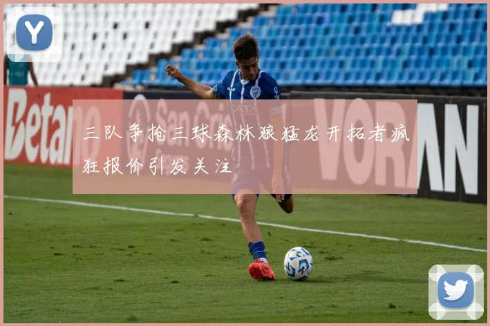 三队争抢三球森林狼猛龙开拓者疯狂报价引发关注