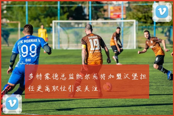 多特蒙德总监凯尔或将加盟汉堡担任更高职位引发关注