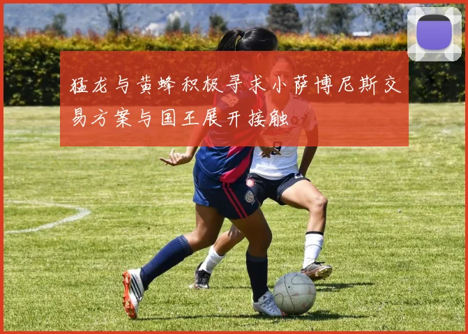 猛龙与黄蜂积极寻求小萨博尼斯交易方案与国王展开接触