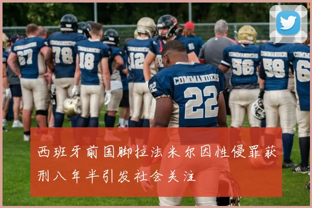 西班牙前国脚拉法米尔因性侵罪获刑八年半引发社会关注