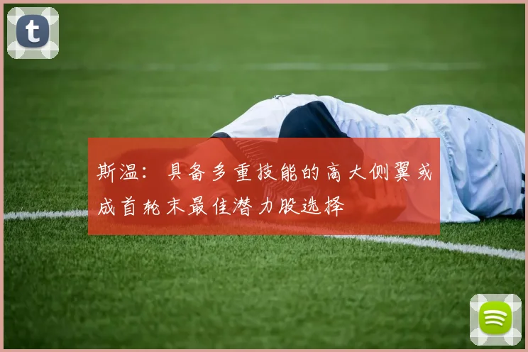 斯温：具备多重技能的高大侧翼或成首轮末最佳潜力股选择
