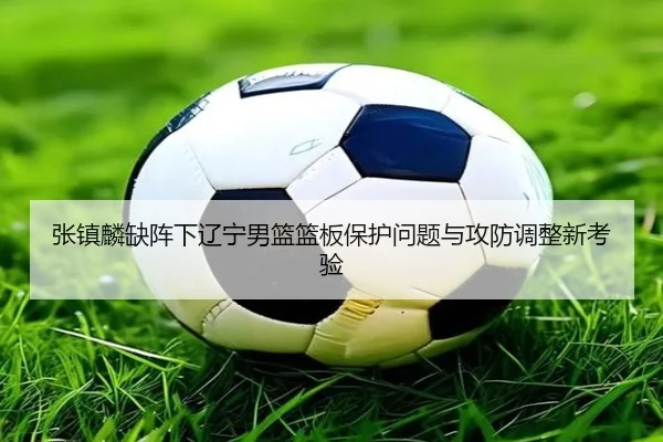 张镇麟缺阵下辽宁男篮篮板保护问题与攻防调整新考验